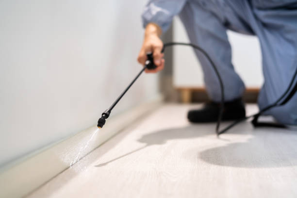 Rodent Entry Point Assessment in Bridgeville