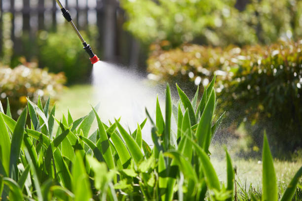 Tamper-Resistant Bait Stations for Rodents in Bridgeville