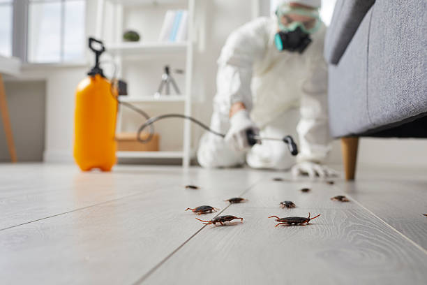 Commercial Rodent Management in Bridgeville